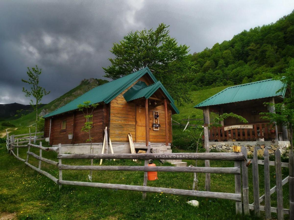 Rakovic Katun - Biogradska Gora Accomodation Villa Berane Exterior photo